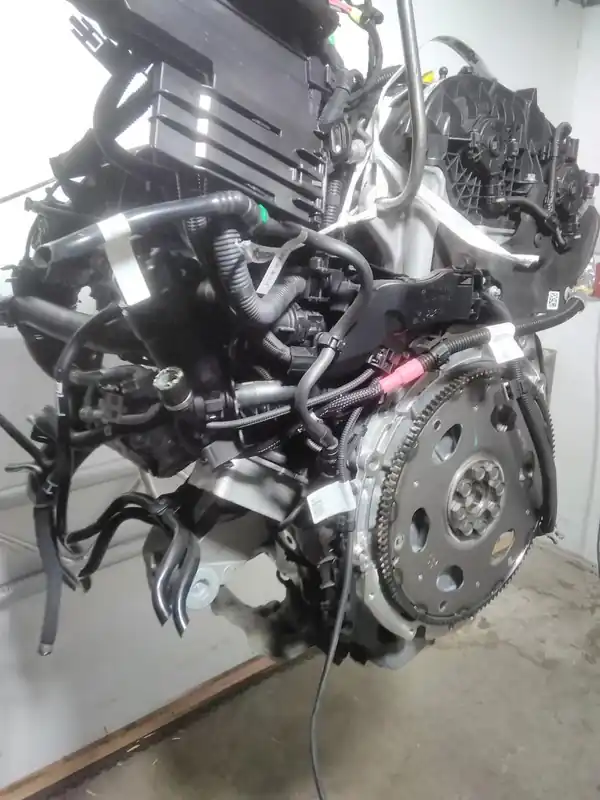 Motor Benzin gebraucht BMW X4 (G02) Baujahr 2023 Beliebt