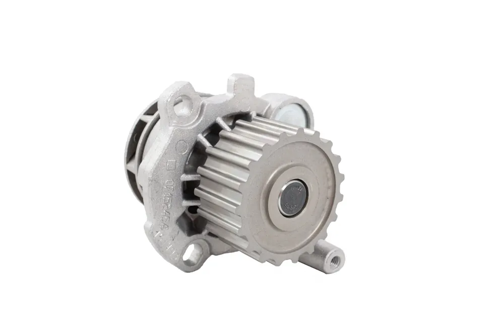 Schneller Versand SRL Wasserpumpe