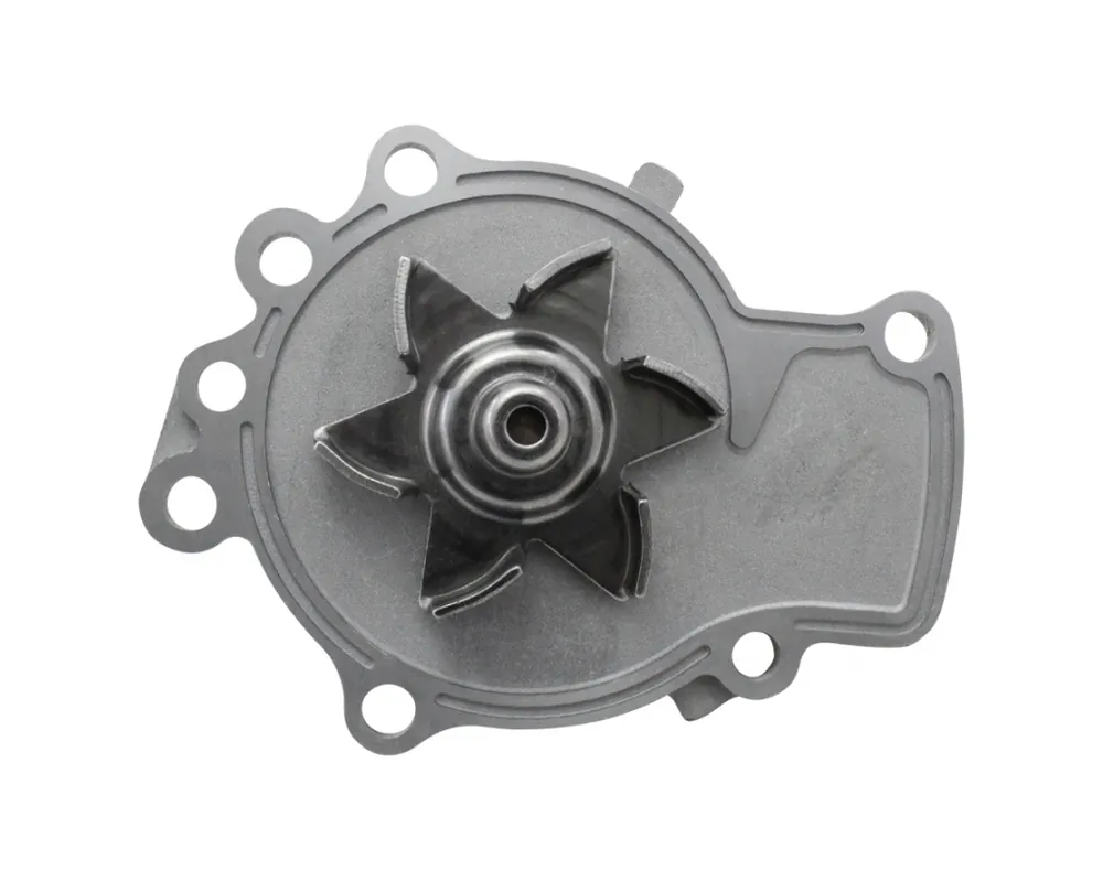 Zertifiziert SRL Wasserpumpe