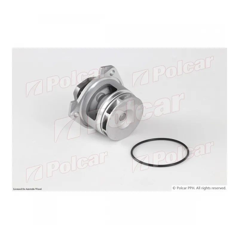 Top-Preis SRL Wasserpumpe