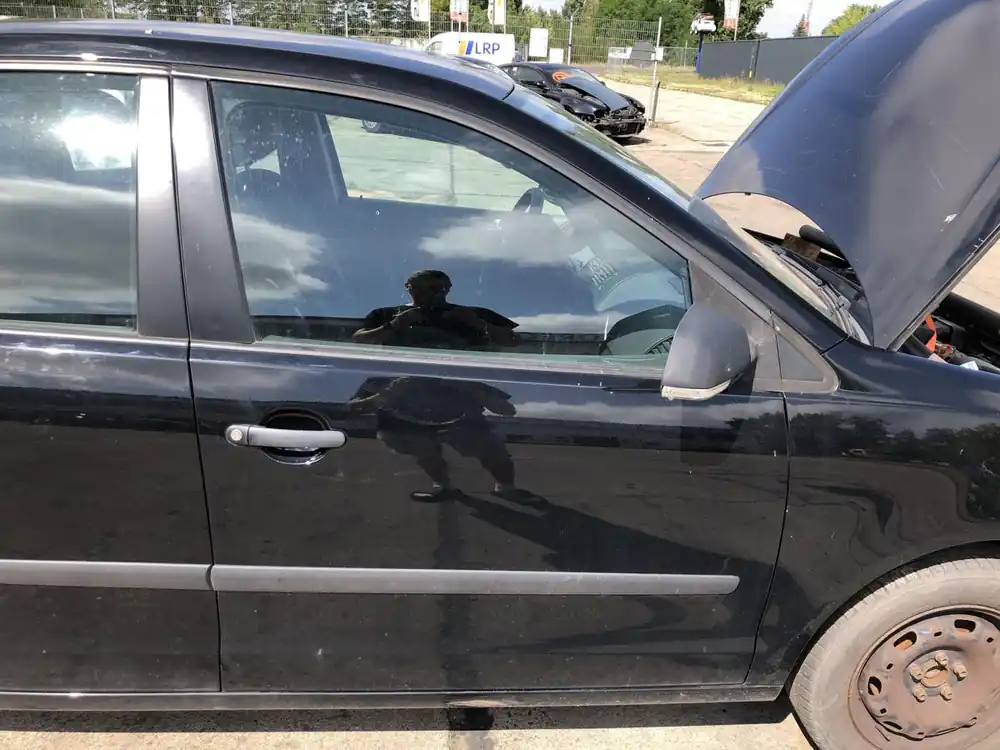 Türen gebraucht VW POLO (9N3) Baujahr 2009 Günstig